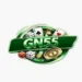 GN55 Game