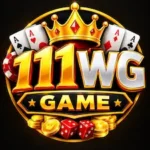 111WG Game
